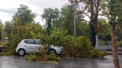 Velika količina kiše i jak vetar u Srbiji: U Beogradu ulice poplavljene (FOTO, VIDEO) 4