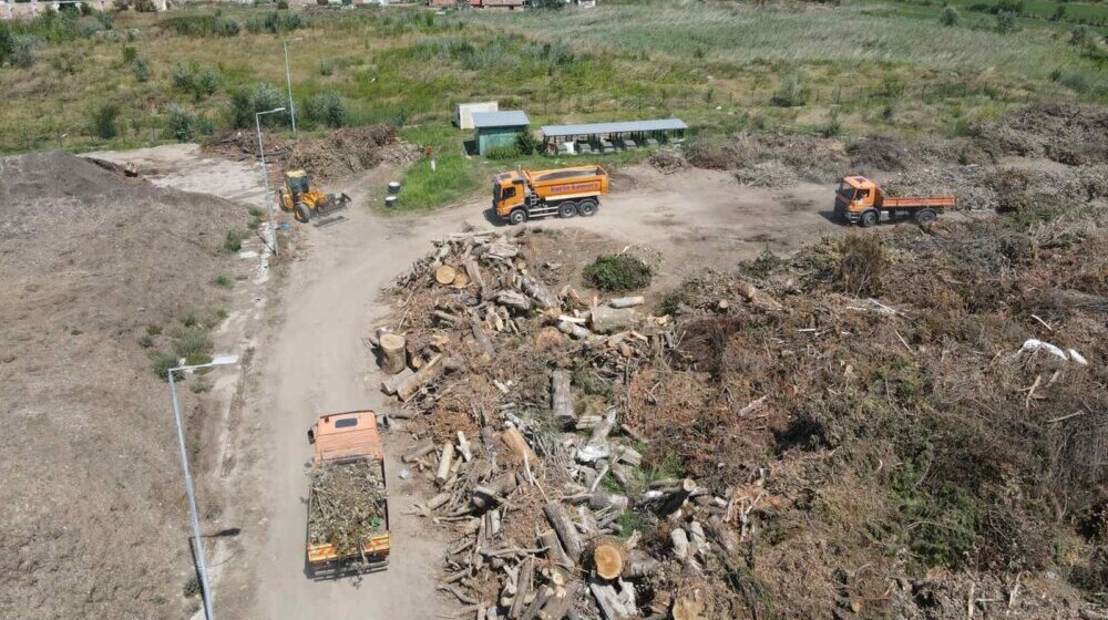 U Novom Sadu polomljeno 2.616 stabala: Skupljena biomasa zauzima hektar površine 1