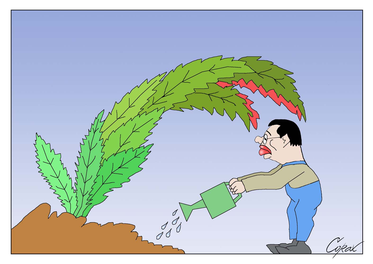 Corax 11