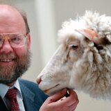 Nauka, genetika i kloniranje: Umro naučnik koji je stvorio čuvenu ovcu Doli 11