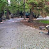 "Obesili Đuru": Spomenik Đuri Jakšiću u Dunavskom parku u Novom Sadu poslužio da se obeleže radovi 11