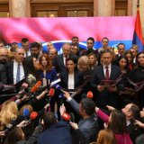 Opozicija poslala Brnabić predloge za usvajanje Ustavnog zakona: Lokalni i beogradski izbori da se održe na jesen 6