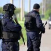 Suspendovana dvojica policajaca osumnjičena za prebijanje mladića iz Guče 14