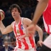 Miloš Teodosić: Izgleda da mi igrači ne znamo pravila 11