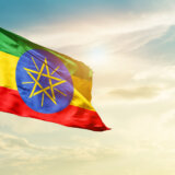 Etiopska komisija za ljudska prava traži otvaranje istrage ubistva istaknutog opozicionara 11