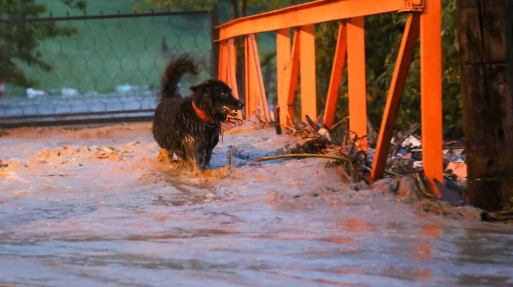 Zemljotresi, poplave, suše: Kojim zemljama prete prirodne katastrofe? 10