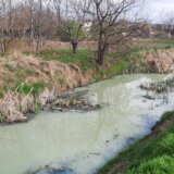 Krivaja u Srbobranu na udaru zagađivača: Farma svinja uništava reku, ekolozi pozivaju na ujedinjenje 12
