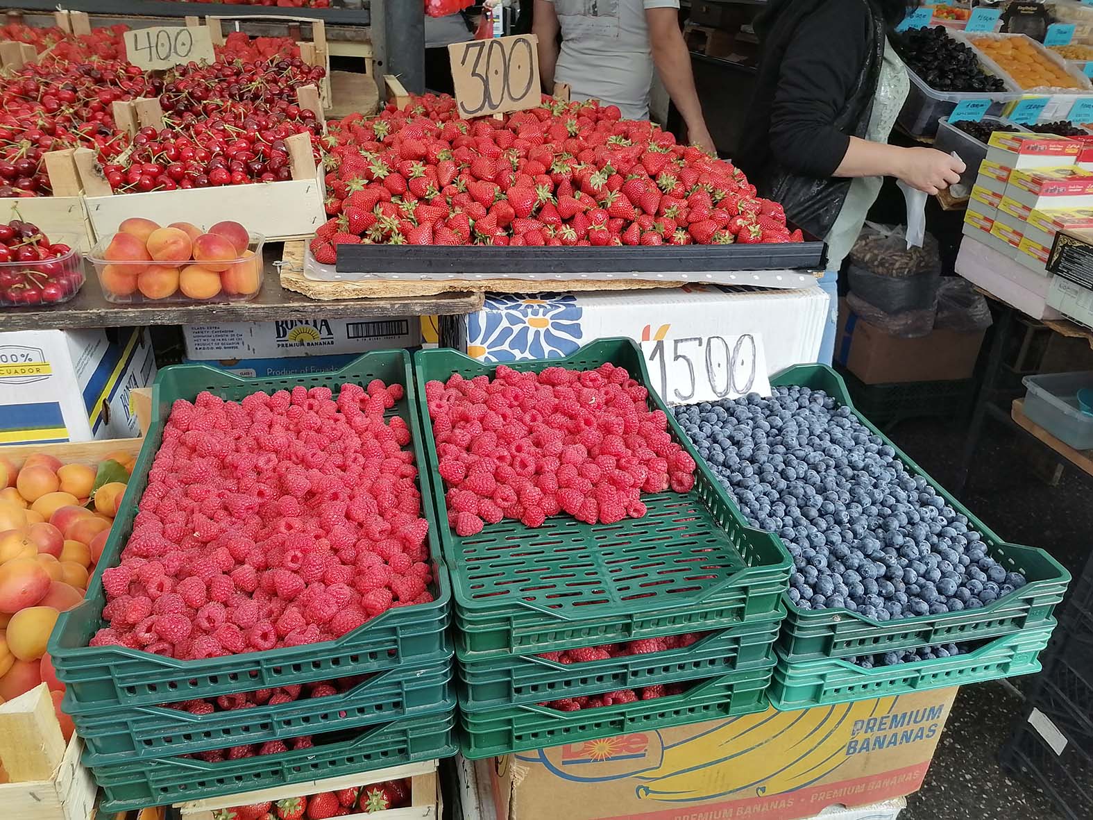 Voćari tvrde da su na granici egzistencije: Ovogodišnji rod jagode, maline i višnje slab, a otkupne cene ponovo niske 3