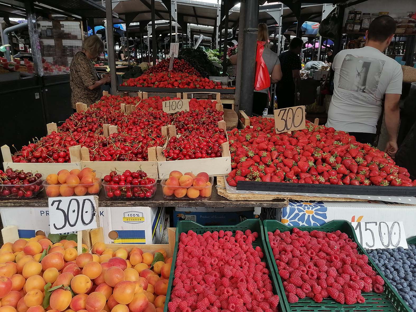 Voćari tvrde da su na granici egzistencije: Ovogodišnji rod jagode, maline i višnje slab, a otkupne cene ponovo niske 2