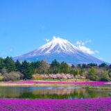 U Japanu nova pravila za penjanje na planinu Fudži zbog prekomernog turizma i zagađenja 5