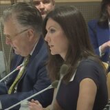 U UN počeo panel na kome govore srpske žrtve i svedoci 3