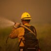 Više desetina hiljada ljudi evakuisano zbog šumskih požara u Kaliforniji 12
