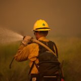 Više desetina hiljada ljudi evakuisano zbog šumskih požara u Kaliforniji 5