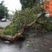 Delovi Skoplja 15 sati bez struje: Zbog nevremena, padali stubovi i drveće 1