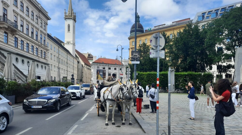 Grad Beč sadi stabala drveća koja su otpornija na toplotu 9