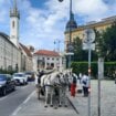 Grad Beč sadi stabala drveća koja su otpornija na toplotu 13