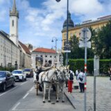 Grad Beč sadi stabala drveća koja su otpornija na toplotu 2