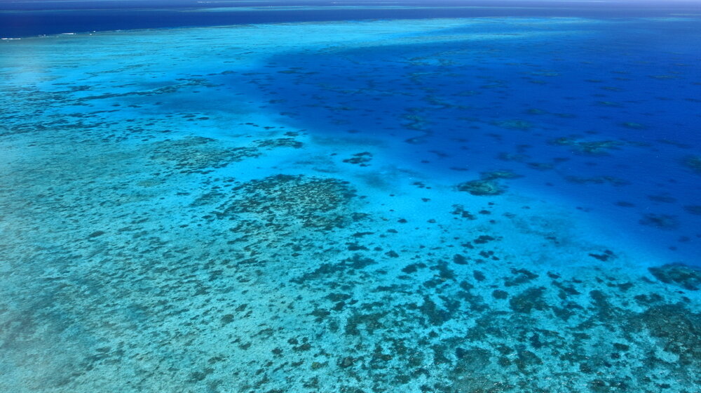 UNESKO: Australija da preduzme hitne mere da zaštiti Veliki koralni greben 1