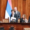 U utorak ponovo "radi" Narodna skupština: Usvaja se Deklaracija o budućnosti srpskog naroda 61
