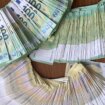 Uprava carina: Pokušala u vešu da prokrijumčari skoro 57.000 evra 20