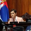 Ana Brnabić: Đilas, Lutovac, Aleksić, Miloš Jovanović... nisu protiv litijuma 12