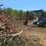 U Beogradu oboreno 100 stabala bez plana i objašnjenja 5