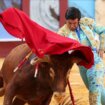 "Ne može ubijanje životinja biti deo kulture": Predsednik Kolumbije zabranio koridu 11