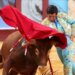 "Ne može ubijanje životinja biti deo kulture": Predsednik Kolumbije zabranio koridu 19