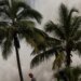 Uragan Beril pogodio Jamajku: Poginulo sedam osoba, udari vetra od 215 kilometara na sat 1