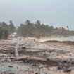 Uragan Beril stigao do Meksika, čupao drveće i izazivao prekide struje 11