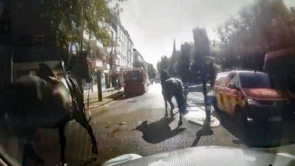 Konji na ulicama Londona