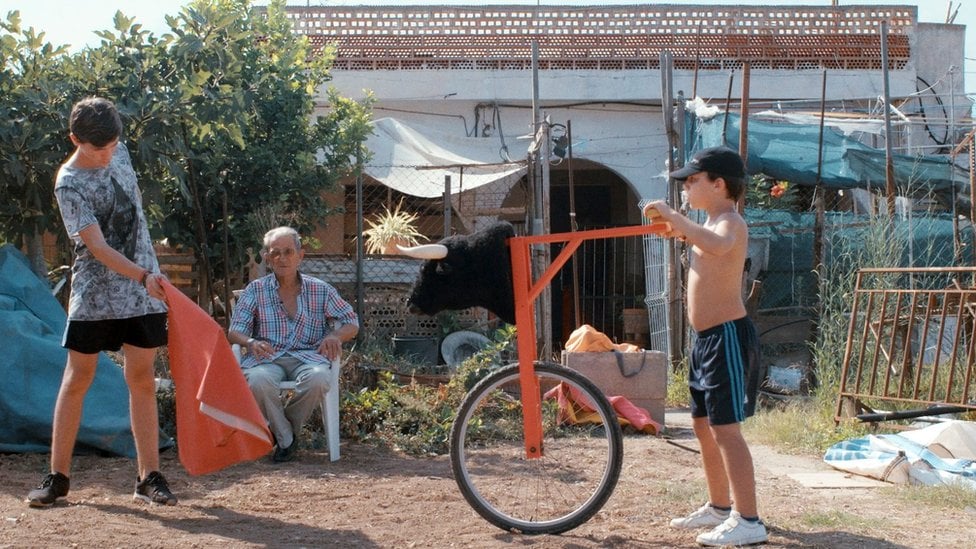 Borbe s bikovima: Dečak protiv tradicije u španskom gradu poznatom po koridi 9
