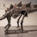 Arheologija: Skelet dinosaurusa prodat na aukciji za rekordnih 40 miliona evra 1