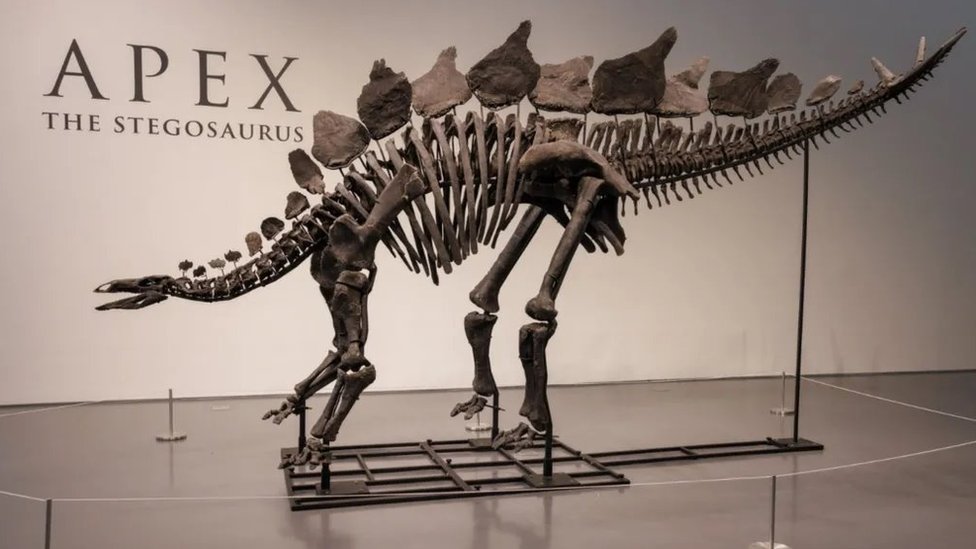 Arheologija: Skelet dinosaurusa prodat na aukciji za rekordnih 40 miliona evra 8