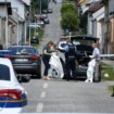 Šest ubijenih u staračkom domu u Hrvatskoj, Milanović traži pooštravanje zakona o oružju 9