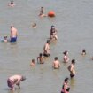 Analize vode: Da li je bezbedno kupanje u Dunavu i Savi? 10