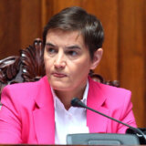 Ekološki ustanak: Panika u redovima SNS - Brnabić još jednom obmanula građane obećanjem održavanja sednice o litijumu 4