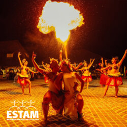 ESTAM - Drugi međunarodni festival folklora u Kragujevcu, Aranđelovcu, Topoli i na Mećavniku 2