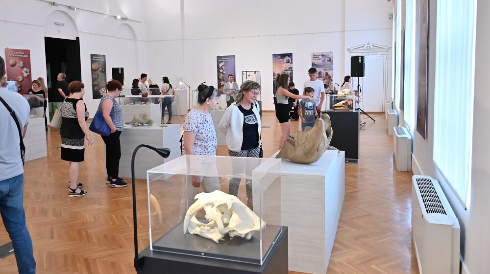 „Fosili kao odrazi prošlosti“: Izložba beogradskog Prirodnjačkog muzeja u Gradskom muzeju u Vršcu 10