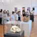 „Fosili kao odrazi prošlosti“: Izložba beogradskog Prirodnjačkog muzeja u Gradskom muzeju u Vršcu 7