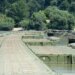 Stanje na beogradskim rekama: Plaža Lido bez pitke vode, na Savi uklanjanje splavova i radovi 3
