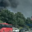 Izbio požar u blizini Veterinarskog fakulteta u Beogradu (VIDEO) 16
