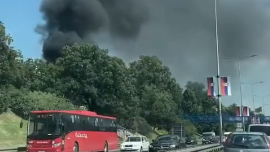 Izbio požar u blizini Veterinarskog fakulteta u Beogradu (VIDEO) 15