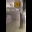 Požar na aerodromu u Njujorku: Deset ljudi povređeno, oko 1.000 evakuisano (VIDEO) 8