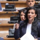 Tepić: Na protestu u Novom Sadu bili su i SNS batinaši iz udruženja „Srpska sparta“ 9