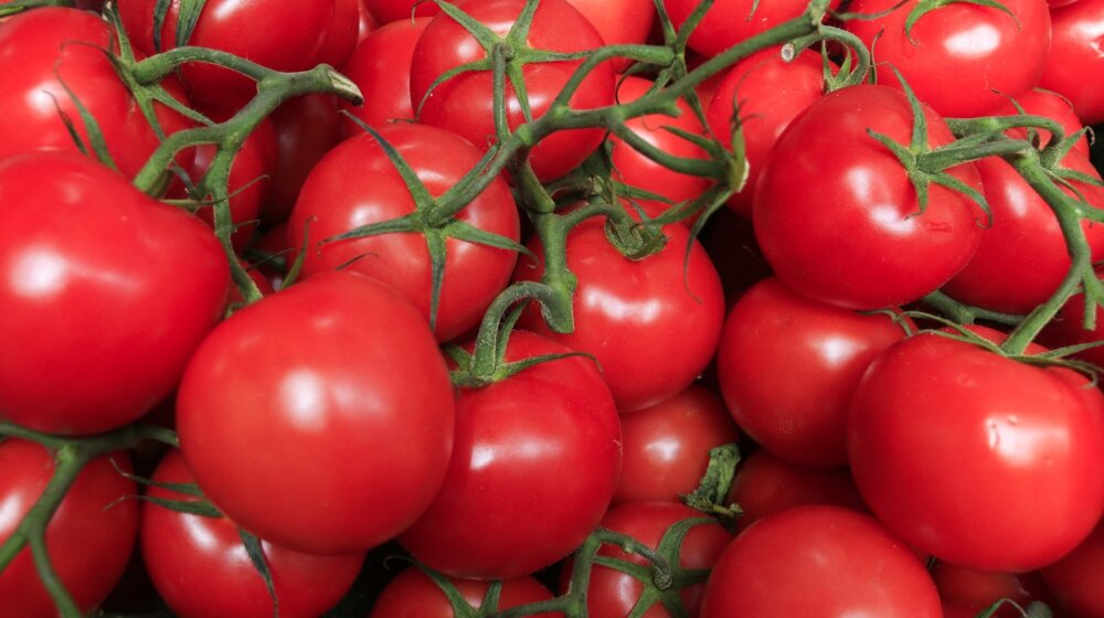 Trik pomoću kod će vam paradajz trajati 10 dana duže 13