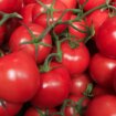 Trik pomoću kod će vam paradajz trajati 10 dana duže 11