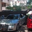 Grana pala sa drveta u centru Zaječara i oštetila dva automobila 16