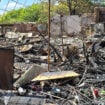 U požaru na Bežanijskoj kosi izgorelo više od osam baraka, nekoliko porodica ostalo bez krova nad glavom 13