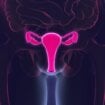 Suvoća vagine: Jeste problem, orošavanje nije rešenje 7